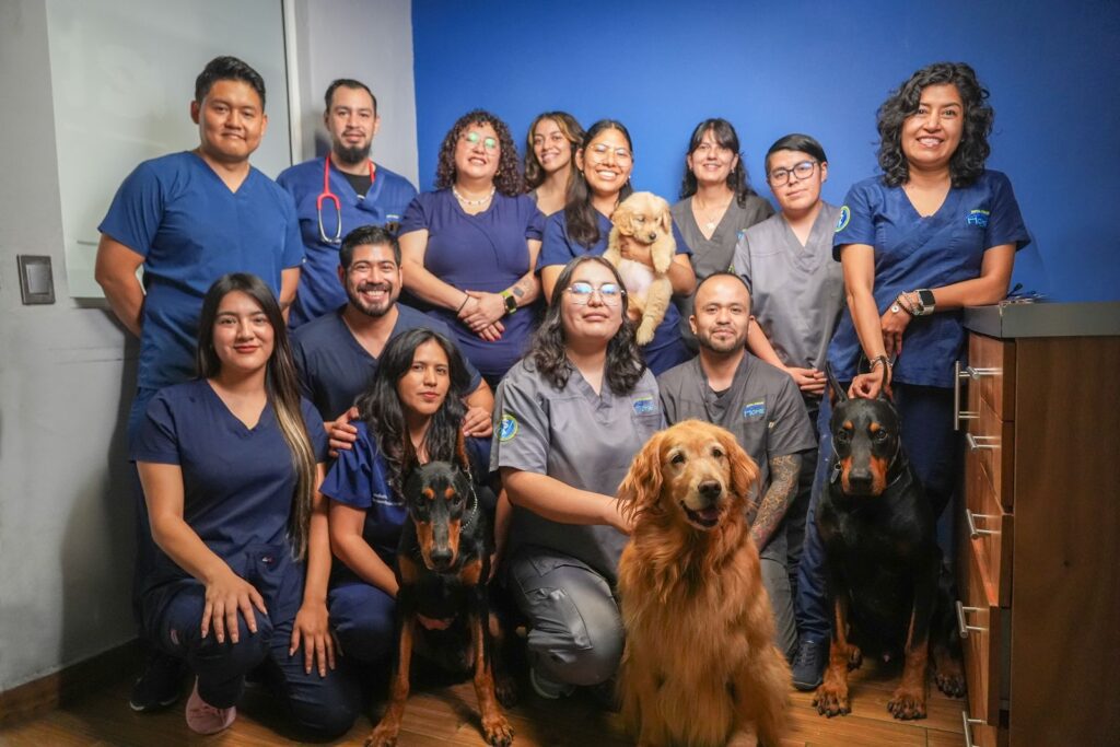 Veterinaria cerca de mi