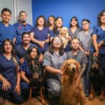 Veterinaria cerca de mi